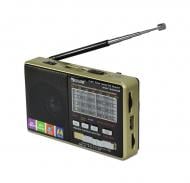 Радіоприймач GOLON RX-2277 з MP3 плеєром Чорний (46-1033789114)