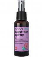 Антисептик HEALER® Hand Sanitizer Ягодний микс 60 мл