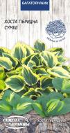 Семена Насіння України хоста Гибридная (смесь) 10 шт.