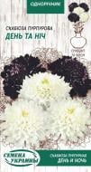 Семена Насіння України скабиоза пурпурная День И Ночь 0,3 г Семена Насіння України скабиоза пурпурная День И Ночь 0,3 г