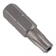 Біта Expert Fix Torx-Pin 25 25 мм 1 шт.