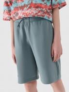 Шорты 4F SHORTS CAS M500 4FJWSS25TSHOM500-46S р. 146 зеленый Шорты 4F SHORTS CAS M500 4FJWSS25TSHOM500-46S р. 146 зеленый