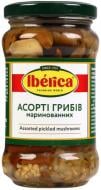 ВІТРИНА! Гриби мариновані Iberica Асорті 280 г