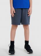 Шорты 4F SHORTS CAS M488 4FJWSS25TSHOM488-22S р. 158 фиолетовый