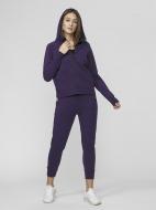 Штани 4F D4L21-SPDD210-50S р. XL фіолетовий