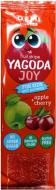 Пастила D.E.M.I. Yagoda Joy із соком вишні 15 г