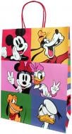 Пакет подарочный КРАФТ Эконом 36x41x12см Disney