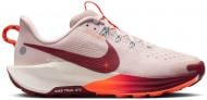 Кроссовки Nike Pegasus Trail 5 FV5638-601 р.36