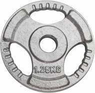 Диск для грифа Stein DB6010 1.25 кг Диск для грифа Stein DB6010 1.25 кг