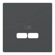 Панель розетки USB 2 Schneider Electric Merten IP20 антрацит MTN4367-6034