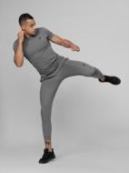 Брюки 4F D4L21-SPMTR200-24M р. 2XL серый