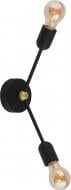 Бра TK Lighting Fantasy 2x60 Вт E27 чорний 2429