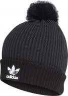 Шапка Adidas AC POM BEANIE H35510 р.L чорний