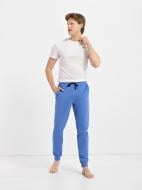 Штани домашні Роза р. 2XL блакитний 211091