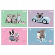 Альбом для рисования 12 лист. Studio Pets KITE