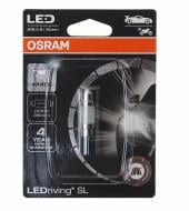 Автолампа світлодіодна Osram LED Driving 0,5 Вт 1 шт. (6418DWP1BL)