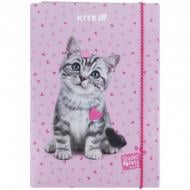 Папка для зошитів В5 на гумці картон SP KITE