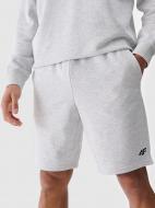 Шорти 4F SHORTS CAS M543 4FWMM00TSHOM543-27M р. M сірий
