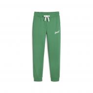 Штани Puma ESS+ SCRIPT PANTS TR 67935086 р. M зелений