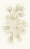 Декор Golden Tile Verdelato Magnolia ivory А6А301 25x40 см