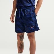 Шорты Nike FFF M NK CLUB FLOW SHORT IB6282-480 р. M голубой