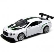 Машинка TechnoDrive 1:32 BENTLEY CONTINENTAL GT3 (белый) 250258