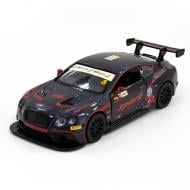 Машинка TechnoDrive 1:32 BENTLEY CONTINENTAL GT3 (чорний) 250260