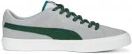 Кроссовки мужские демисезонные Puma SUEDE SKATE NITRO 38608210 р.43 зеленые Кроссовки мужские демисезонные Puma SUEDE SKATE NITRO 38608210 р.43 зеленые