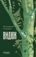 Книга Владимир Кошелюк «Сучасна проза України: Видюк» 978-617-522-412-0
