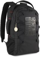 Рюкзак Puma PUMA X ONE PIECE BACKPACK 09030701 чорний