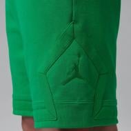 Шорты Nike M J FLIGHT FLC DMND SHORT FV7257-310 р. XL зеленый