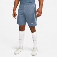 Шорты Nike DV9276-491 р. M синий