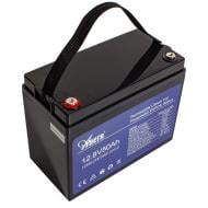 Акумулятор автомобільний Anern 50Ah 50A 12,8V (AN-LFP1250)