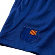 Шорты Nike DR5065-455 р. L синий