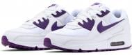 Кроссовки мужские Nike AIR MAX 90 CT1028-100 р.41 белые