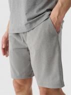 Шорты 4F SHORTS FNK M0911 4FWSS25TFSHM0911-25M р. XL серый