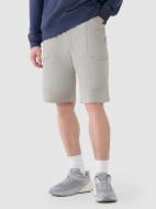 Шорты 4F SHORTS CAS M527 4FWSS25TSHOM527-26S р. XL бежевый Шорты 4F SHORTS CAS M527 4FWSS25TSHOM527-26S р. XL бежевый