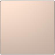 Клавиша выключателя одноклавишный Schneider Electric Merten D-Life без подсветки шампань MTN3300-6051