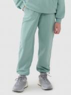 Штани 4F TROUSERS CAS F0950 4FJWSS25TTROF0950-47S р. 146 бірюзовий