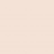 Фарба інтер'єрна акрилатна Aura® Luxpro Silkematt шовковистий мат SPIRIT 4-6-1 4,75 л