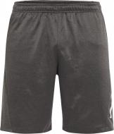 Шорти Energetics Moro ux 294835-31 р. L сірий