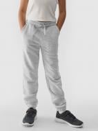 Штани 4F TROUSERS CAS F1189 4FJWMM00TTROF1189-25M р. 164 сірий Штани 4F TROUSERS CAS F1189 4FJWMM00TTROF1189-25M р. 164 сірий