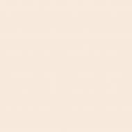 Краска интерьерная акрилатная Aura® Luxpro Silkematt шелковистый мат SPIRIT 2-4-1 4,75 л