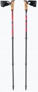 Палки для скандинавской ходьбы Viking Kube Pro Nordic Walking 650/22/1743/34 Палки для скандинавской ходьбы Viking Kube Pro Nordic Walking 650/22/1743/34