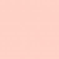 Краска интерьерная акрилатная Aura® Luxpro Silkematt шелковистый мат NCS S 1015-Y80R 4,75 л