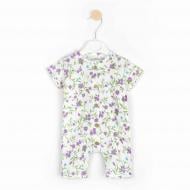 Пісочник для дівчинки Dexter`s Violet flowers р.74 молочний 432363