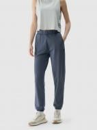 Брюки 4F TROUSERS CAS F1123 4FWSS25TTROF1123-22S р. L синий Брюки 4F TROUSERS CAS F1123 4FWSS25TTROF1123-22S р. L синий