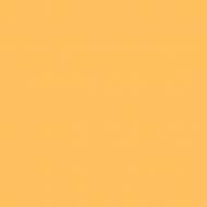 Краска интерьерная акрилатная Aura® Luxpro Silkematt шелковистый мат NCS S 1040-Y20R 9,5 л