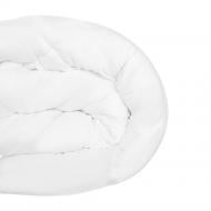 Одеяло демисезонное 200x220 см FAM' HOME белый