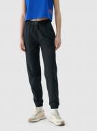 Брюки 4F TROUSERS CAS F1002 4FWSS25TTROF1002-20S р. S черный